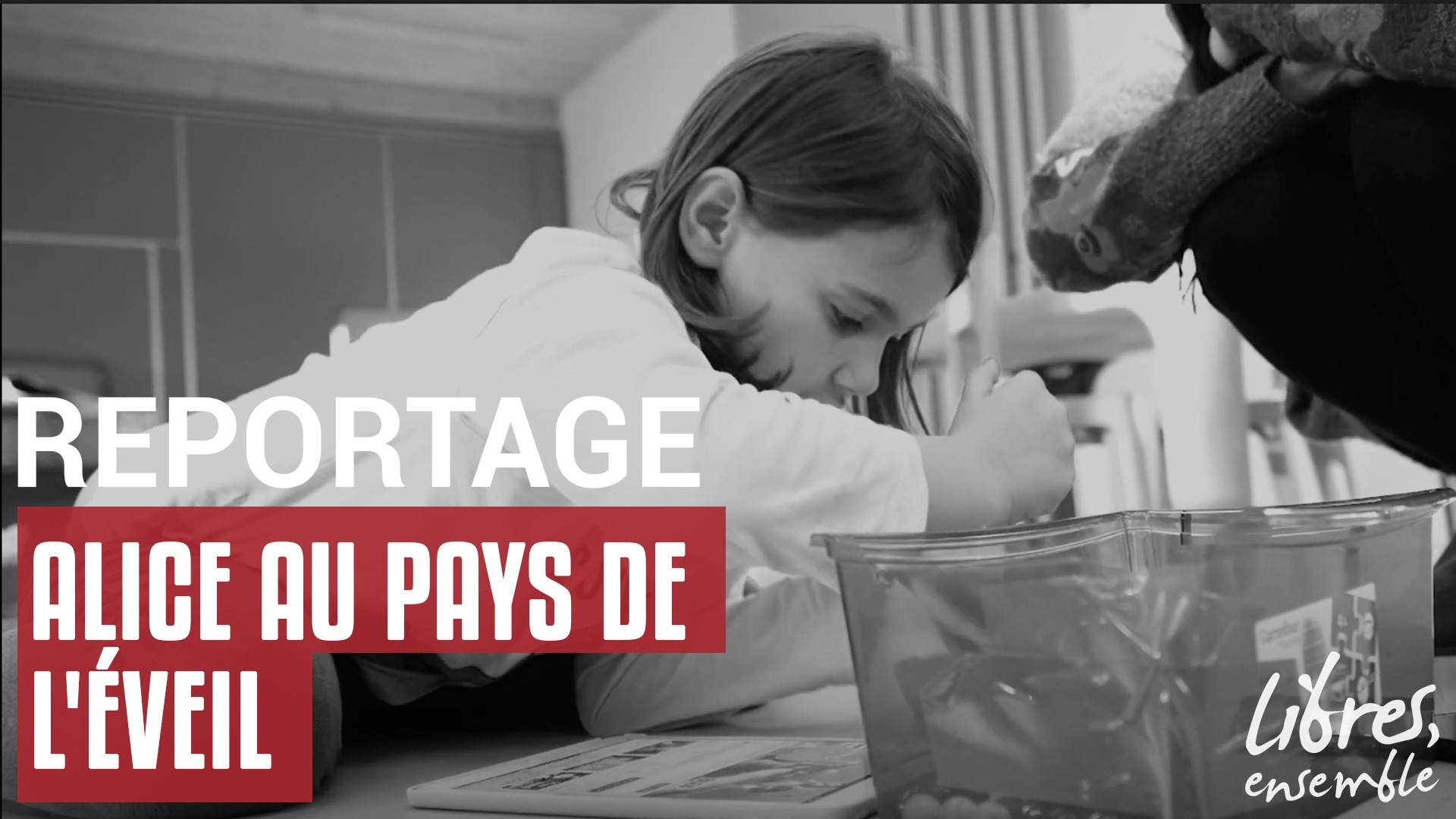 Alice au pays de l&rsquo;éveil
