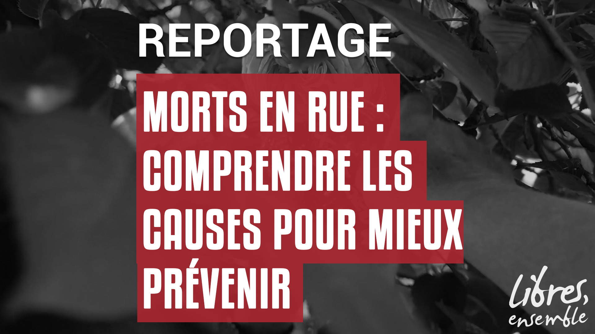 Morts en rue : comprendre les causes pour mieux prévenir