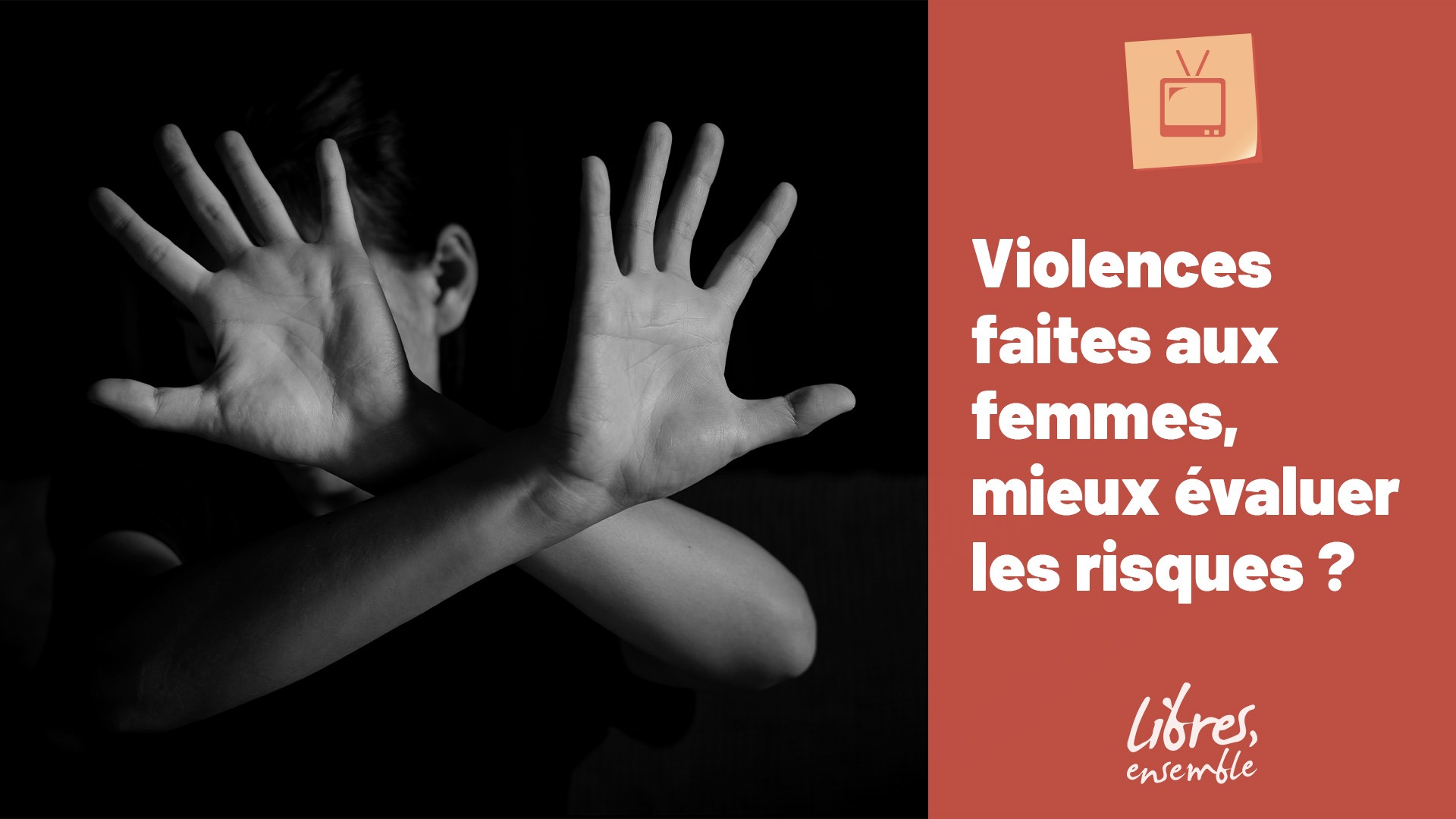 Violences faites aux femmes, mieux évaluer les risques ?